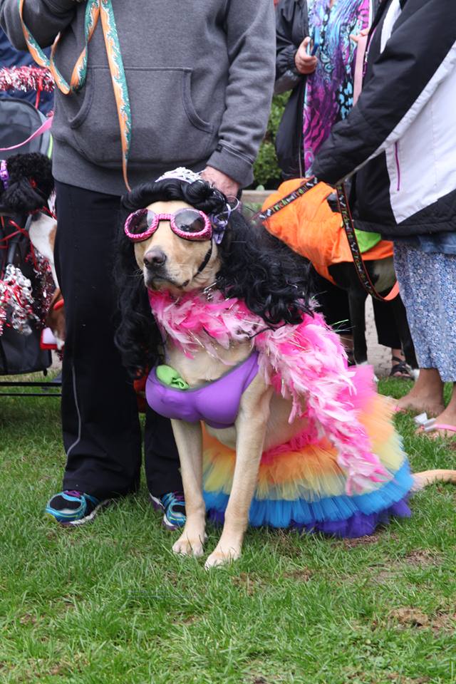 Pet Parade in Historic Smithville