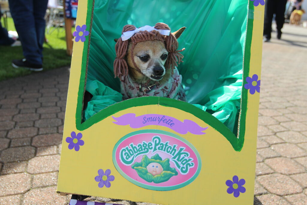 Pet Parade in Historic Smithville